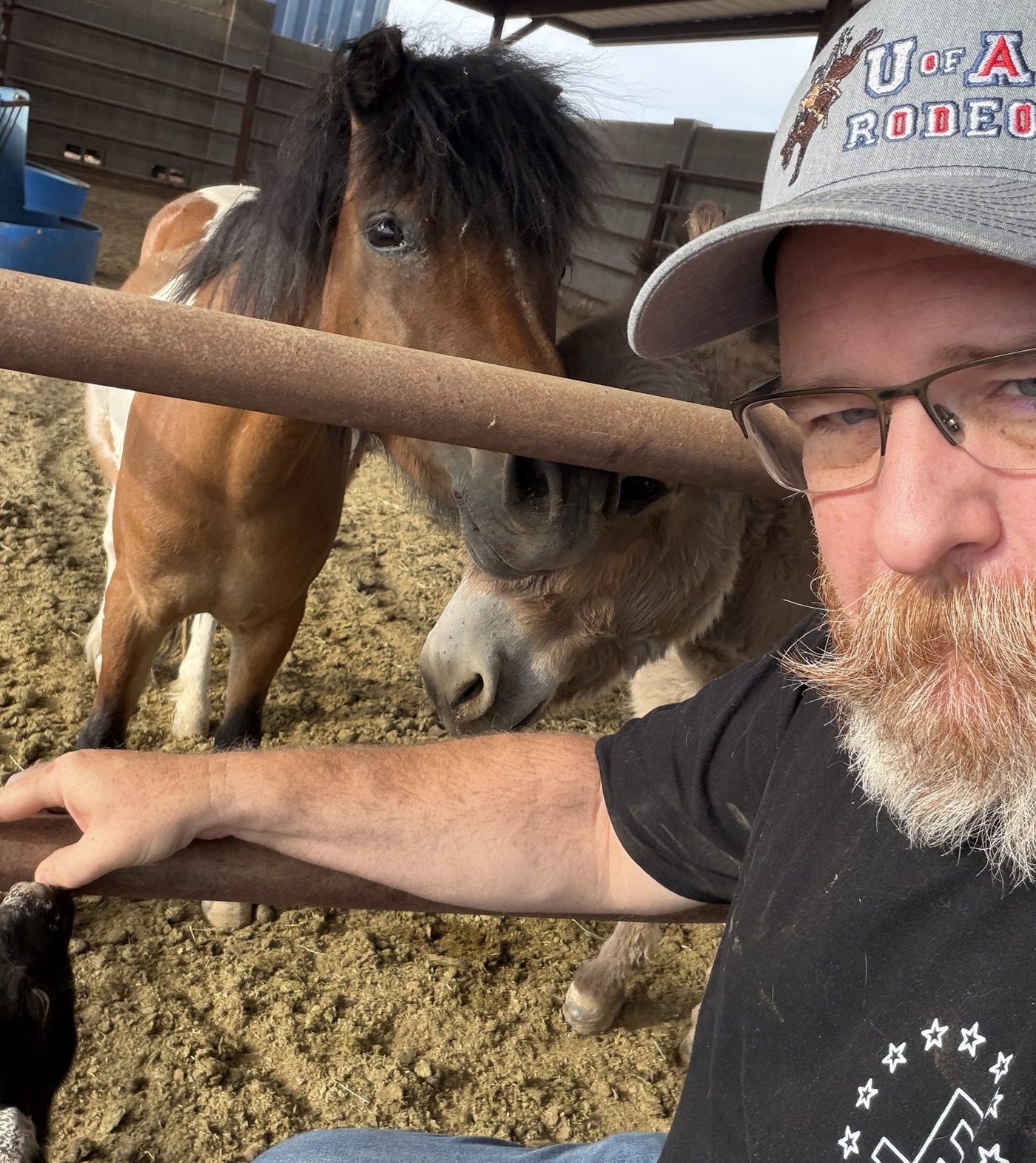 Joshua Morris at a fence line with miniature horses in a pen