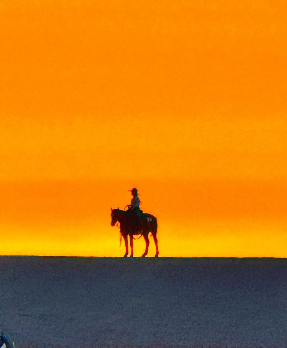 Horse and rider silhouette against an Arizona sunset